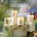 French Scented Candle Gift Box - Image 4