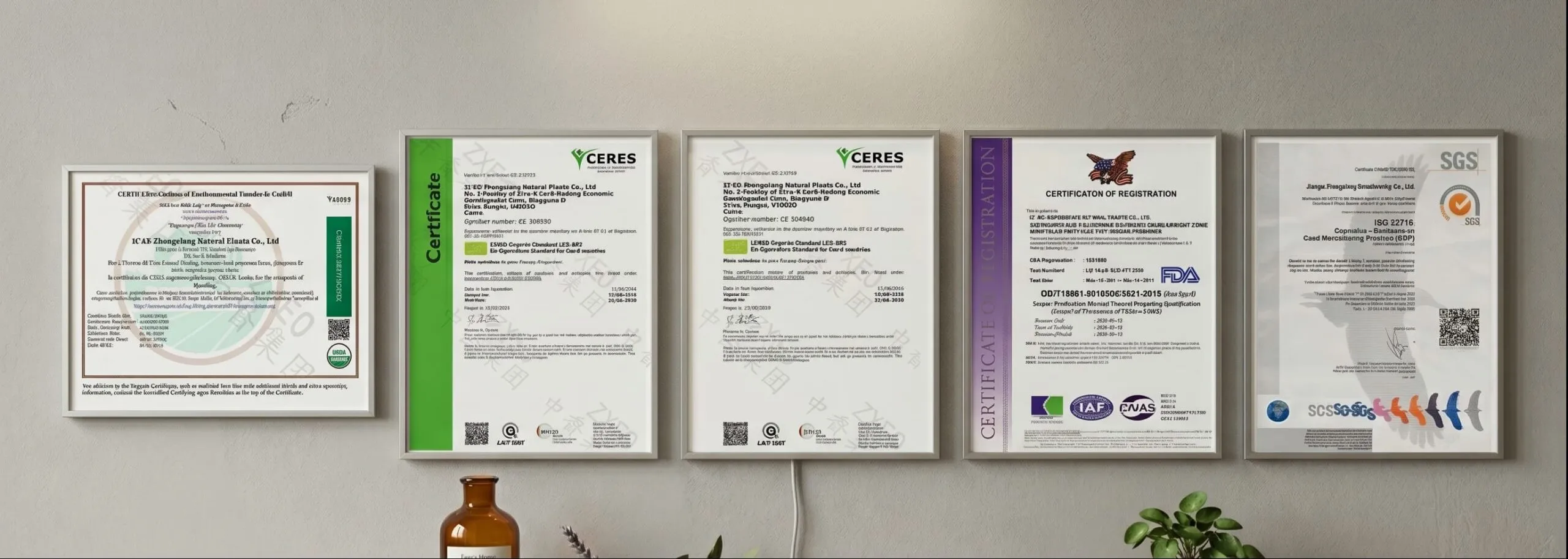 PeersHome certificate for eco-friendly aromatherapy products.